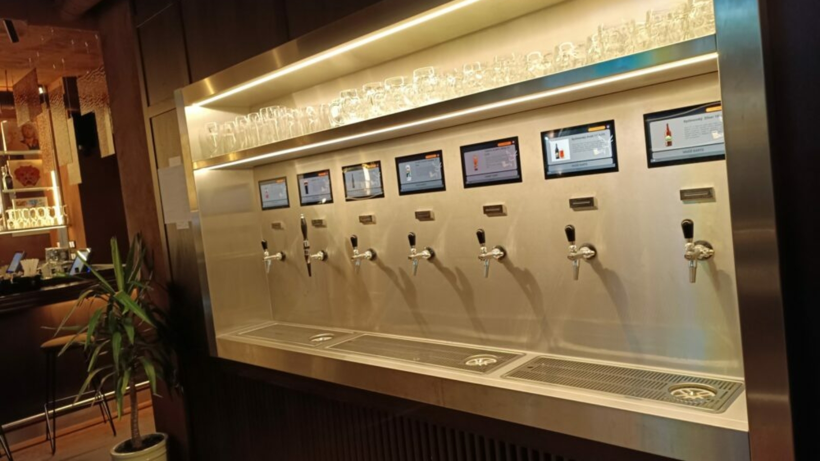 front wiadomości ranny łoś